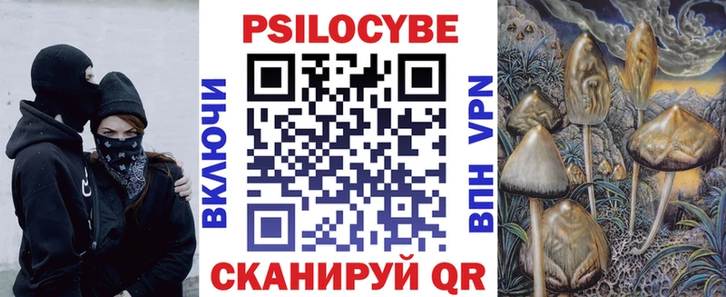 Купить закладки  Углегорск  Псилоцибиновые грибы Psilocybine cubensis 